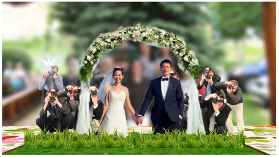 3D Wedding Montages - Little Wedding Diary
